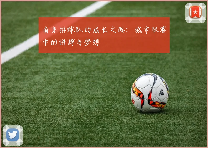 南京排球队的成长之路：城市联赛中的拼搏与梦想