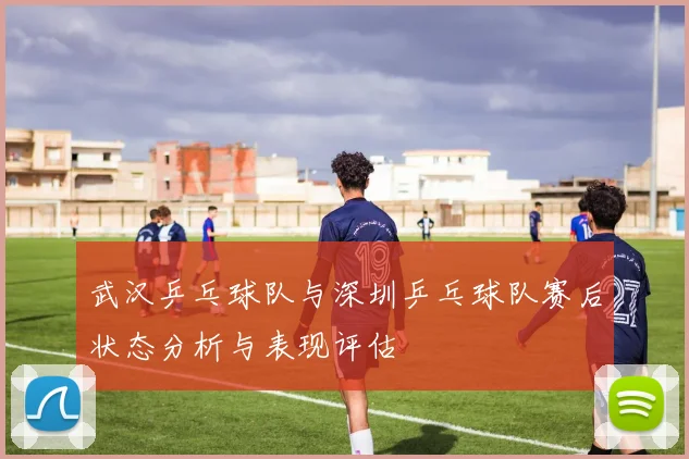 武汉乒乓球队与深圳乒乓球队赛后状态分析与表现评估