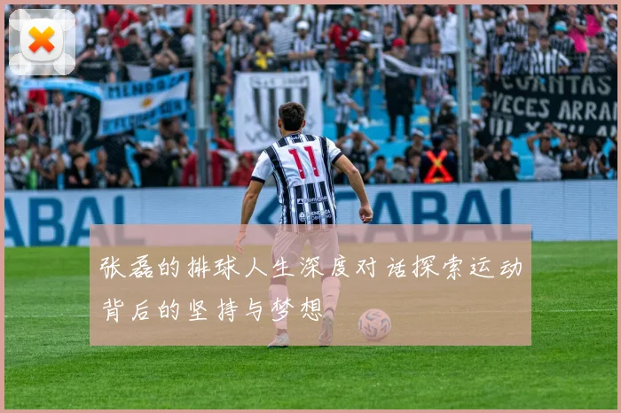 张磊的排球人生深度对话探索运动背后的坚持与梦想