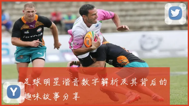 足球明星谐音数字解析及其背后的趣味故事分享