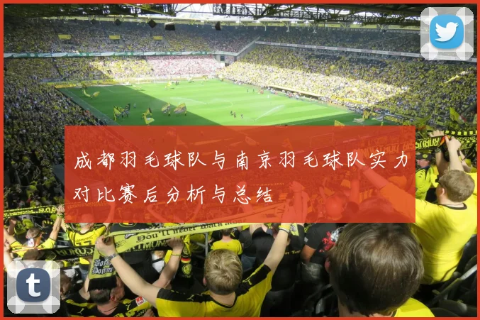 成都羽毛球队与南京羽毛球队实力对比赛后分析与总结