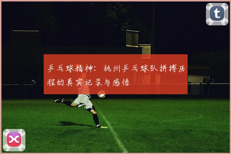 乒乓球精神：杭州乒乓球队拼搏历程的真实记录与感悟