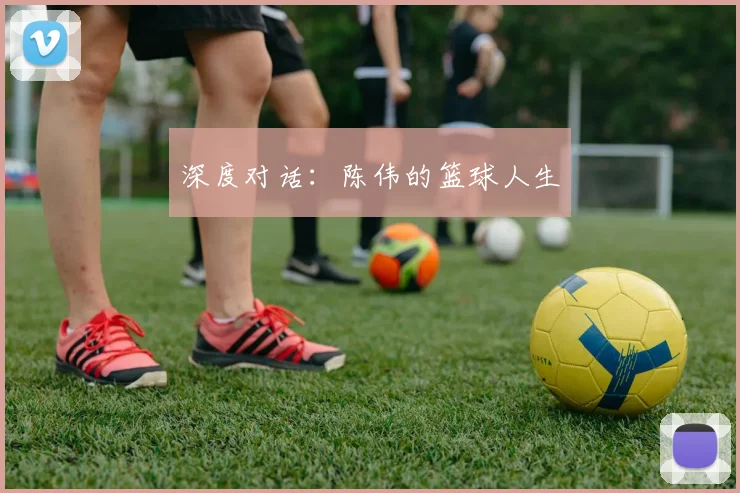 深度对话：陈伟的篮球人生