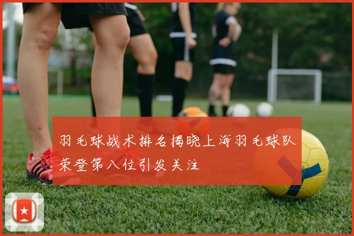 羽毛球战术排名揭晓上海羽毛球队荣登第八位引发关注