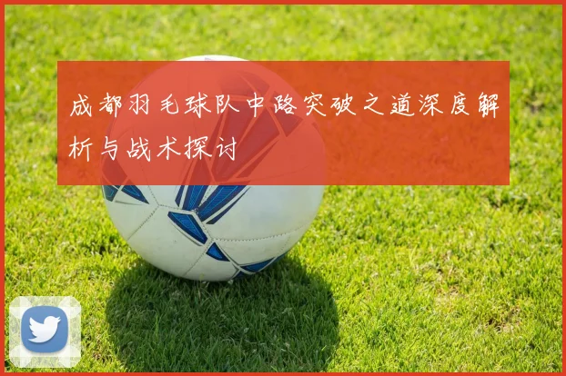成都羽毛球队中路突破之道深度解析与战术探讨