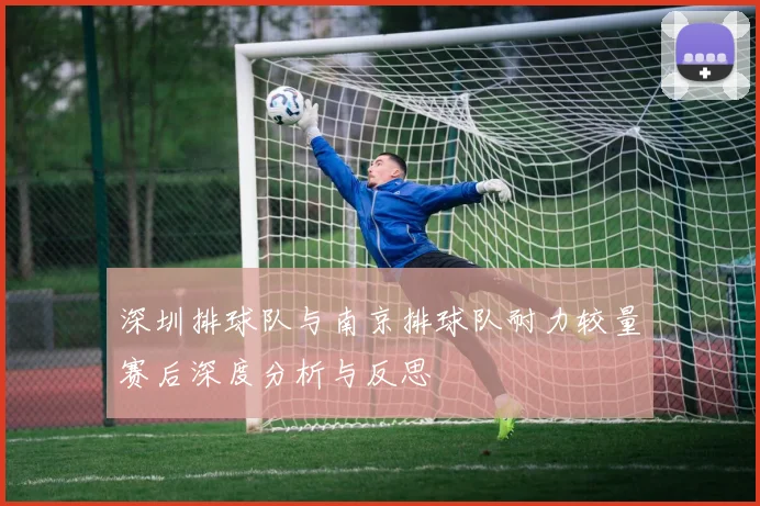 深圳排球队与南京排球队耐力较量赛后深度分析与反思