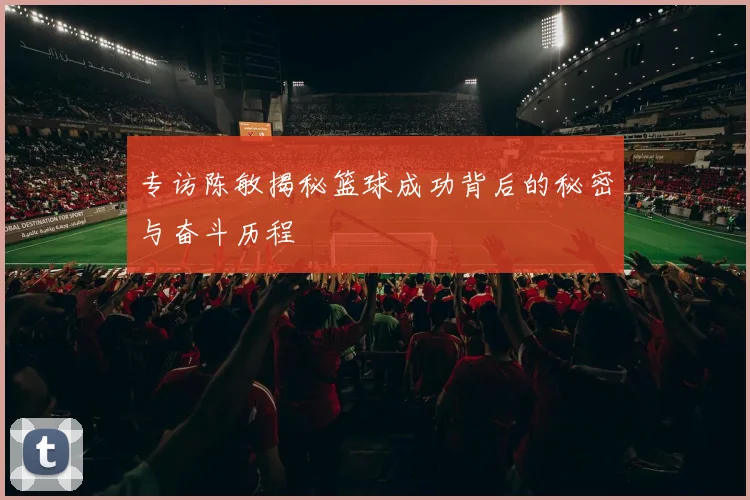 专访陈敏揭秘篮球成功背后的秘密与奋斗历程