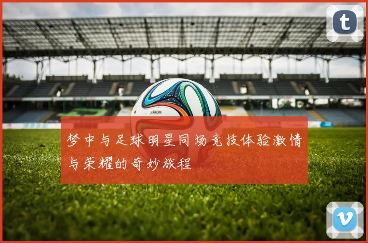 梦中与足球明星同场竞技体验激情与荣耀的奇妙旅程