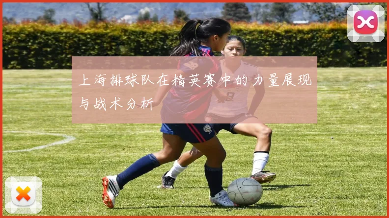 上海排球队在精英赛中的力量展现与战术分析