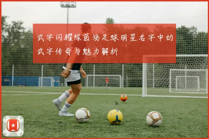 武字闪耀绿茵场足球明星名字中的武字传奇与魅力解析