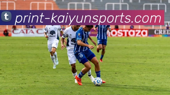 开云官网平台生态图